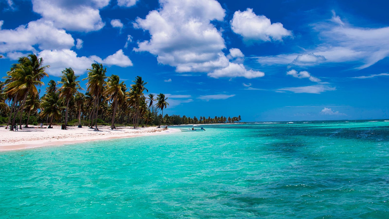 Tour en barco a Isla Catalina desde el Muelle de Caleta, La Romana