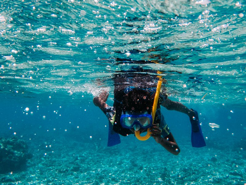 Snorkel en Isla Catalina